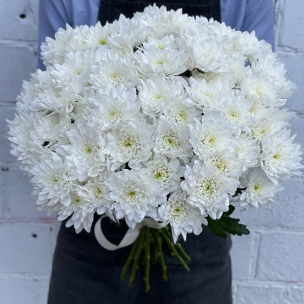 Белая кустовая хризантема - купить с доставкой в Пензе
